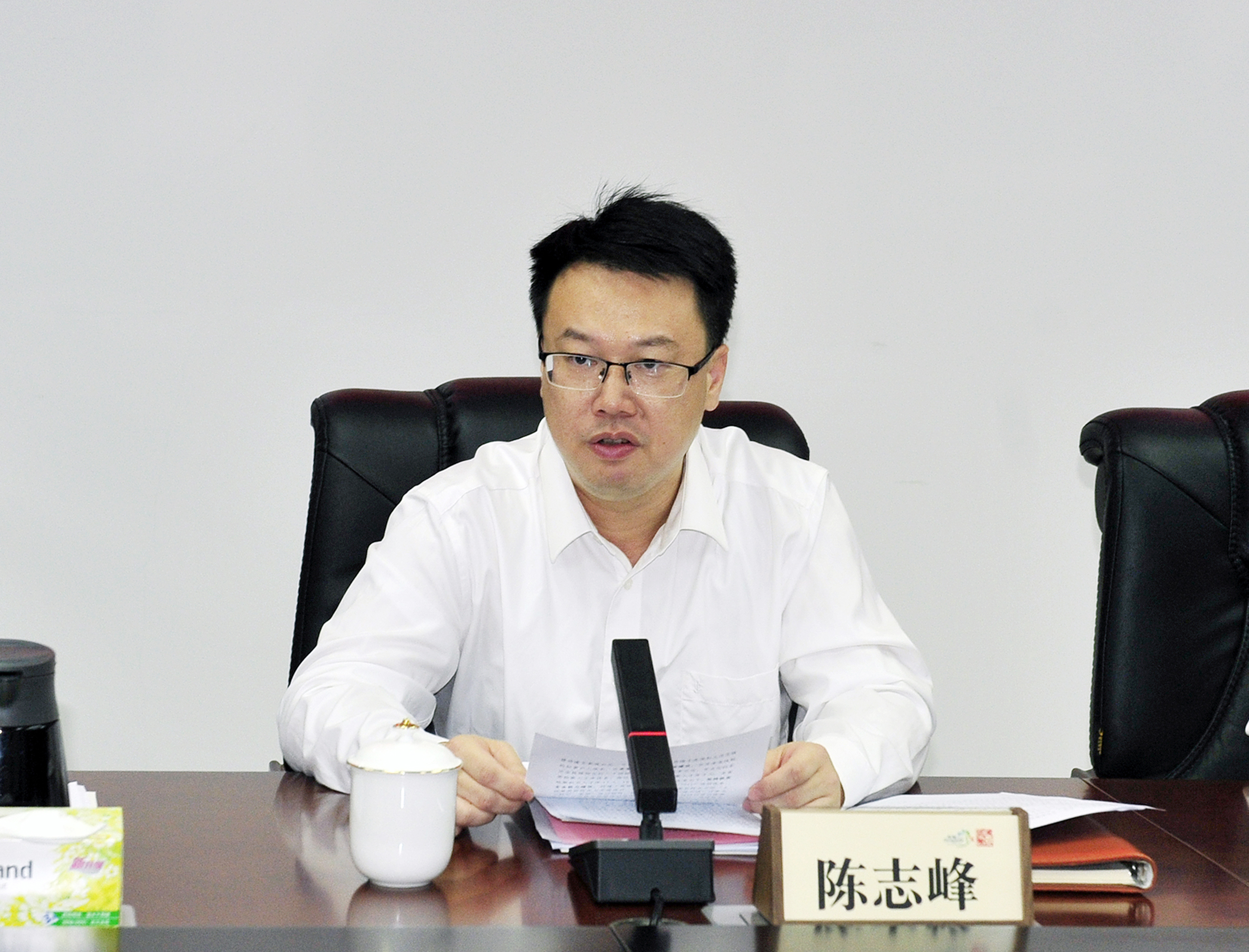 陈主任讲话.JPG